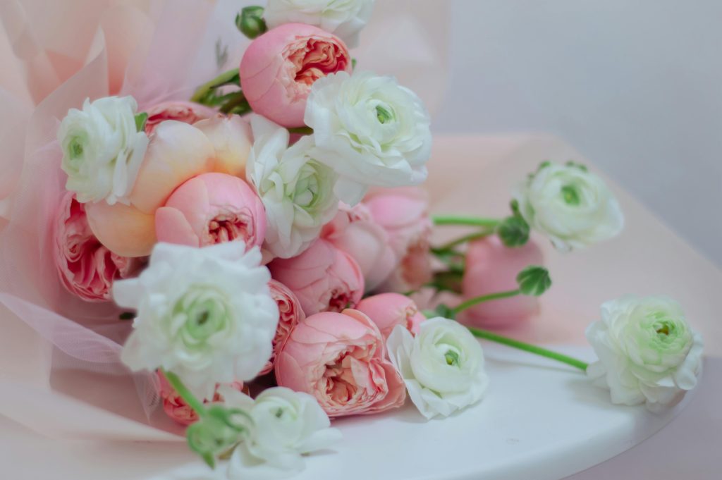 Delicate pink and white ranunculus bouquet in soft focus, perfect for romantic settings.
