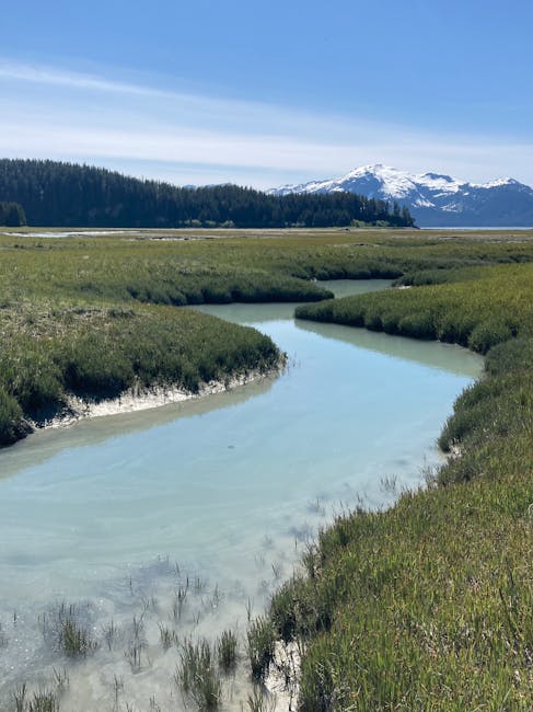 Stunning Alaskan landscape featuring a clear stream, lush green fields, and a snow-capped mountain under blue skies.